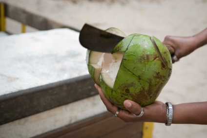 cutting a coconut